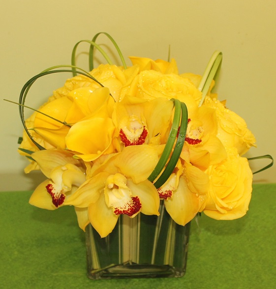 All yellow